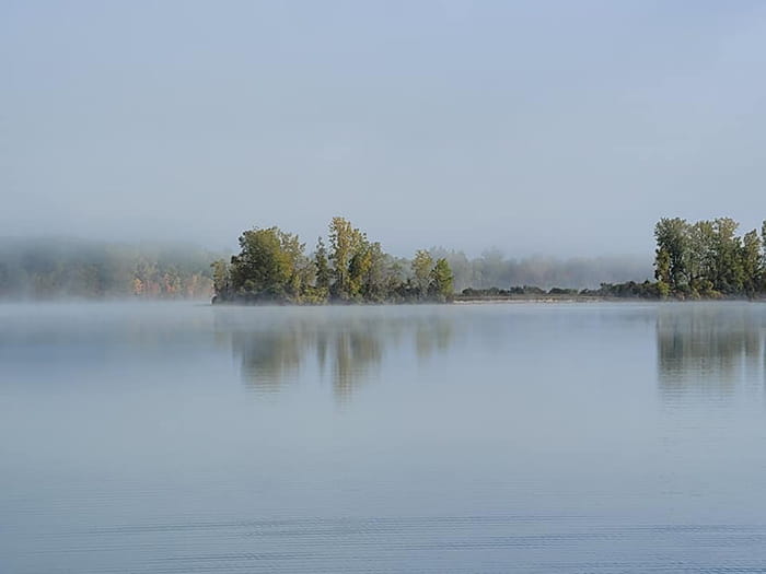 foggy lake with tree line in the distance
