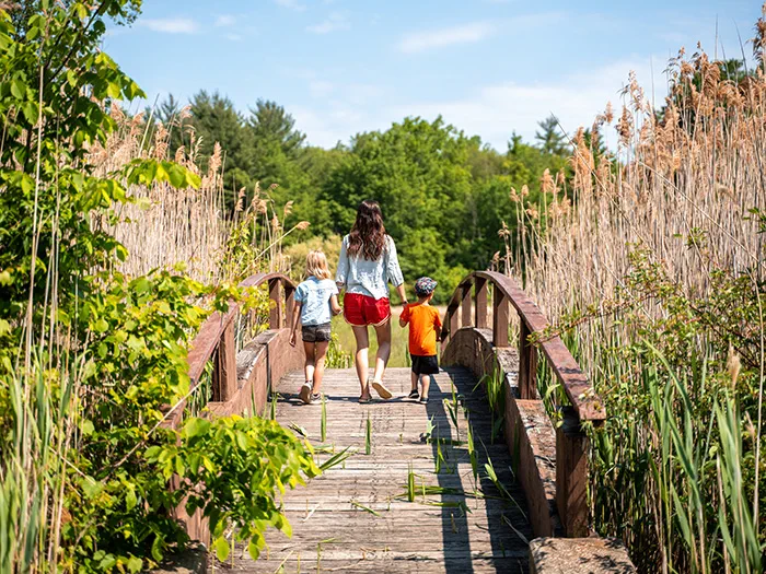 Hikers walking over a bridge in a wetland at Lakeport State Park
