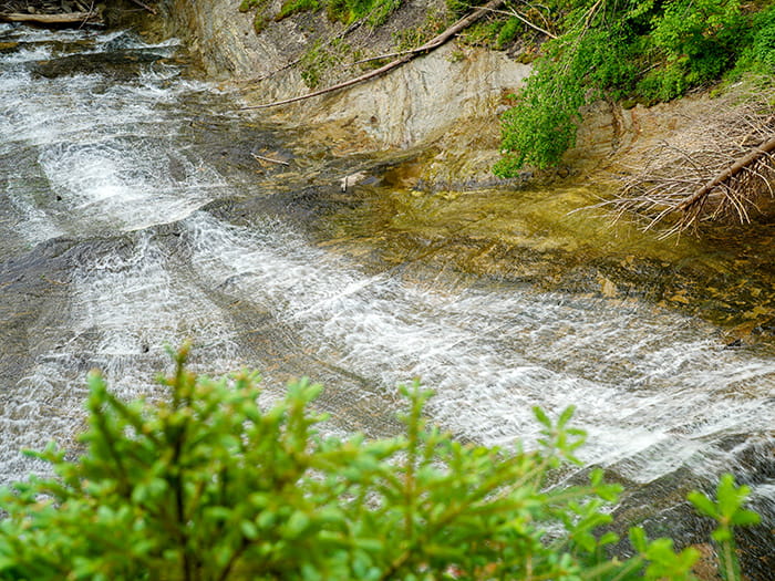 Rapids in the Laughing Whitefish River just downstream from the falls