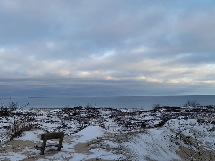 Leelanau winter shoreline