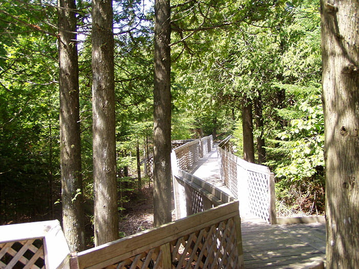 Lime Island camp platform