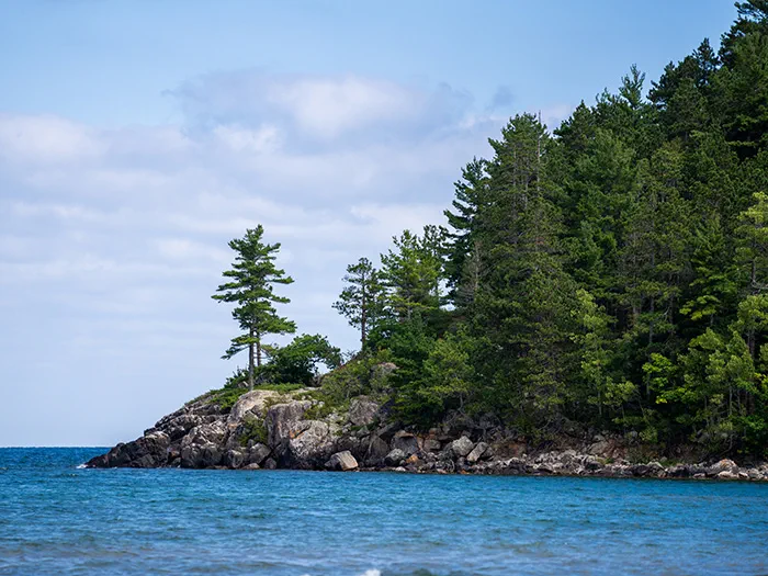 Tree--lined lake Superior shoreline