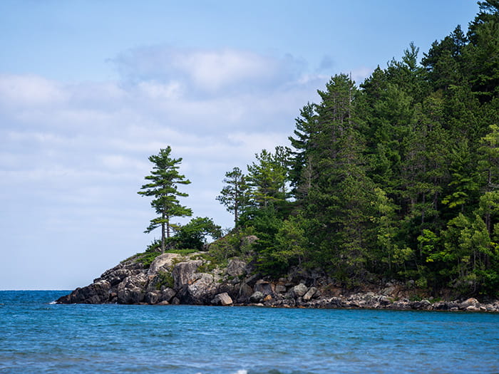 Tree--lined lake Superior shoreline