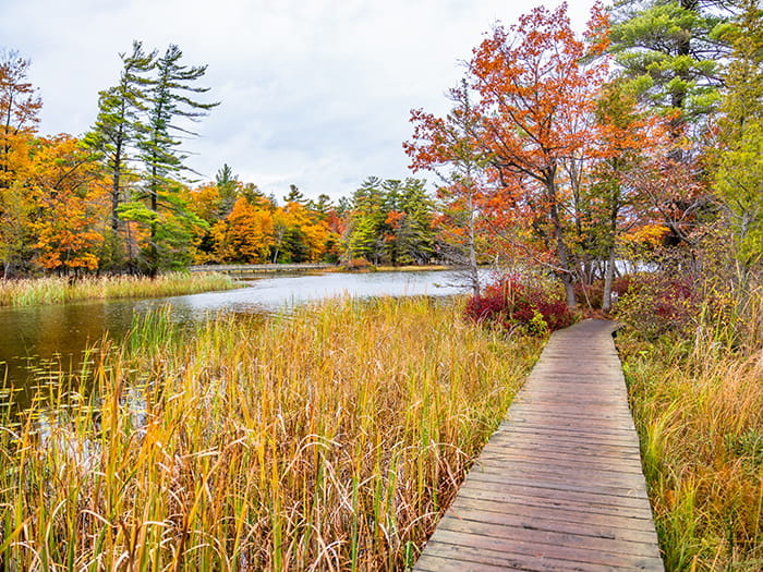 Boardwalk near Lost Lake photo by Gresham Halstead