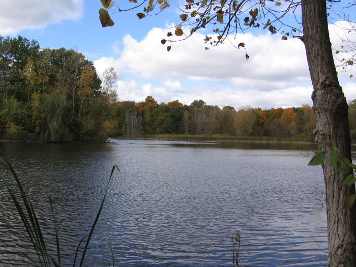 Maybury Pond