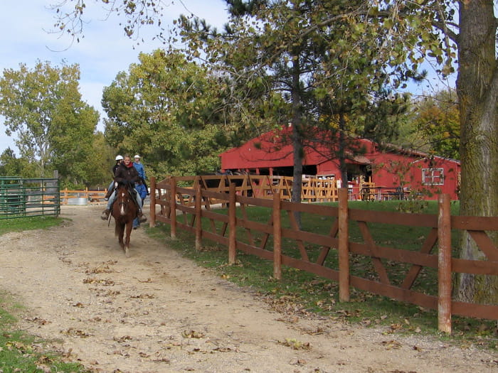 Maybury Riding Stable