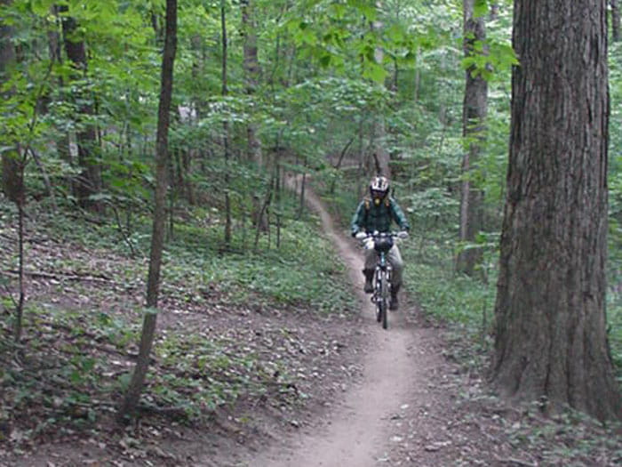 Maybury Riding Trail