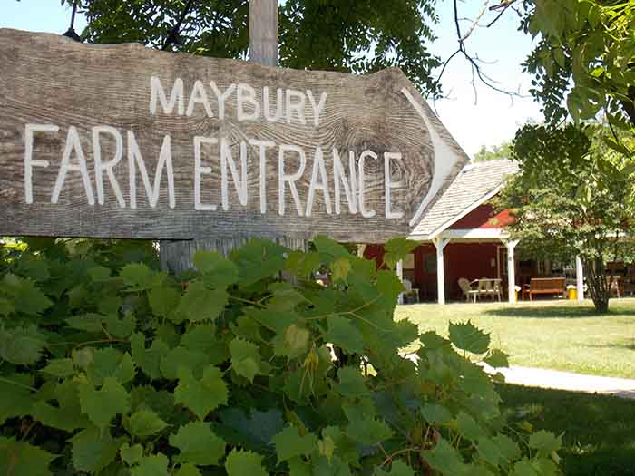 Maybury farm