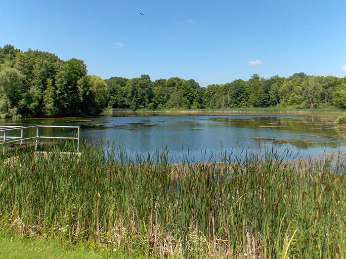 Maybury water
