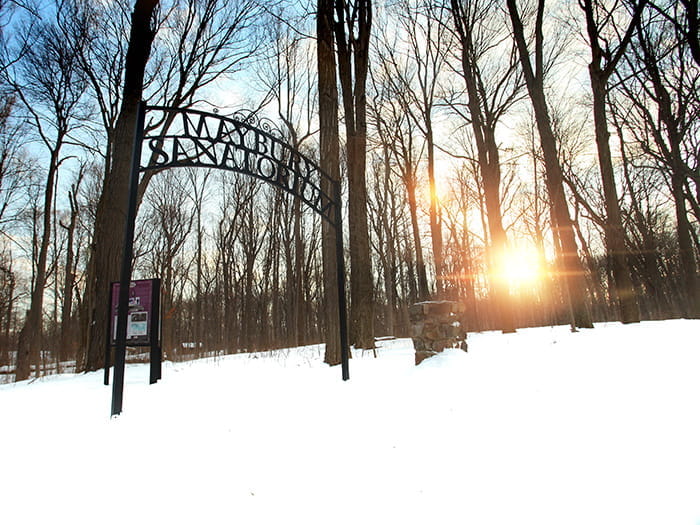 Maybury sunlight