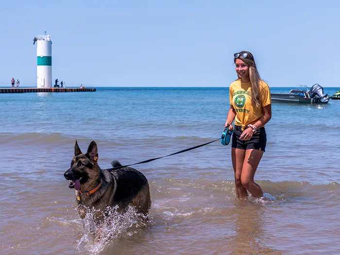 visitor walking leashed dog in water