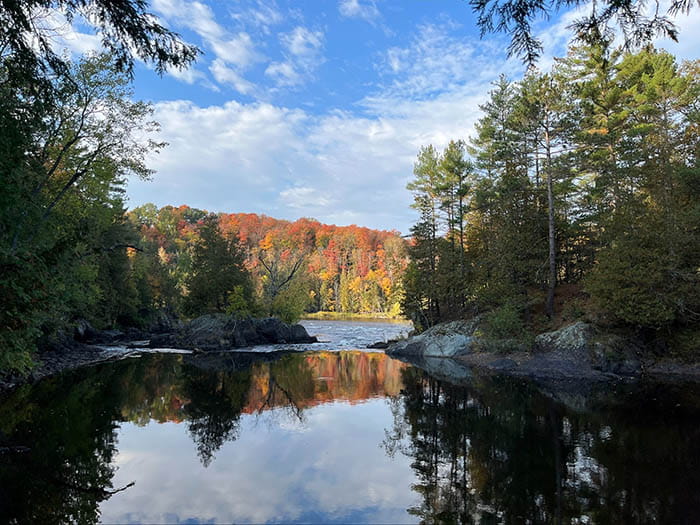 glassy water river and trees