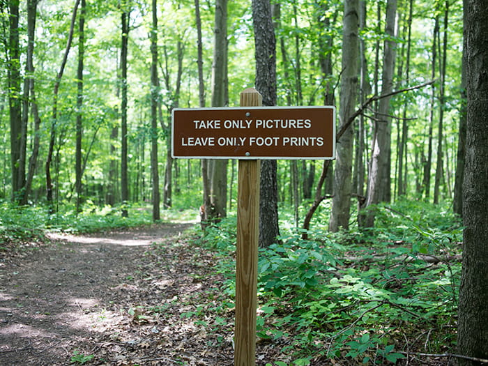 leave only footprints trail sign