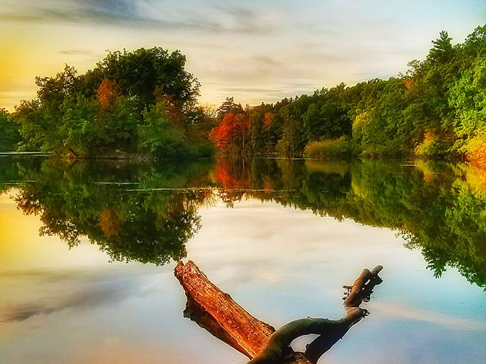 fall leaves on trees surrounding lake