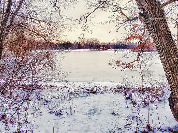 snow covered ground and lake