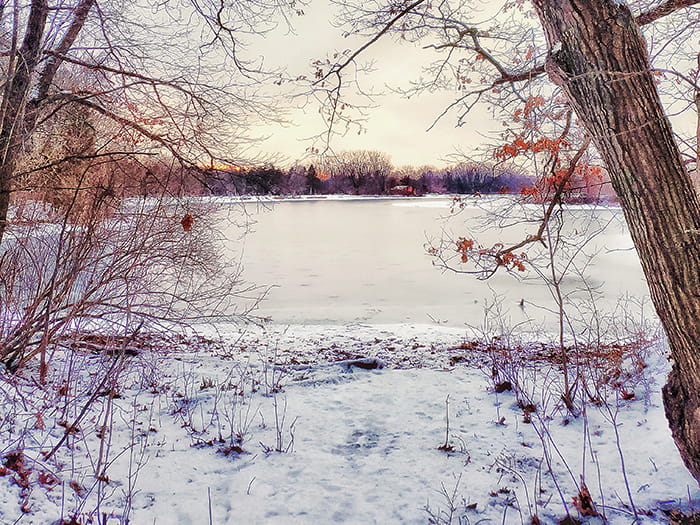 snow covered ground and lake