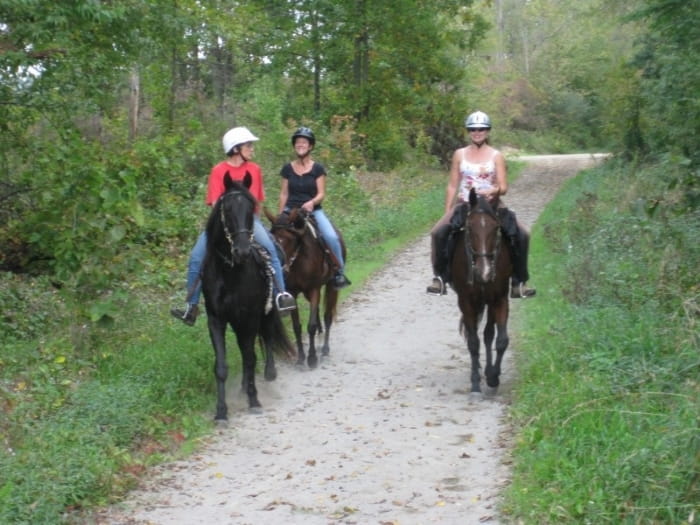 Lakelands Equestrian