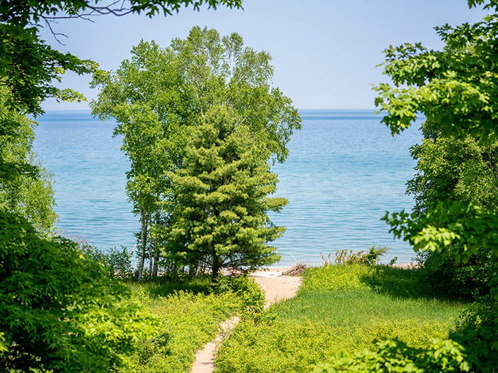 View of a lake between trees