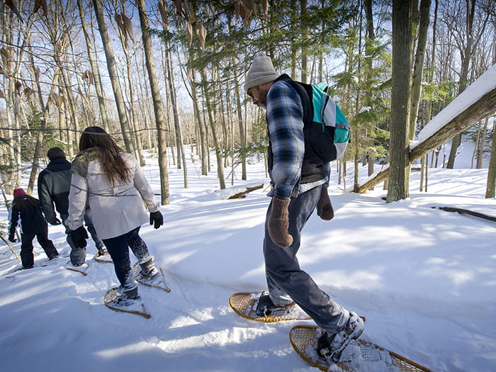 group snowshoeing down snowy trail
