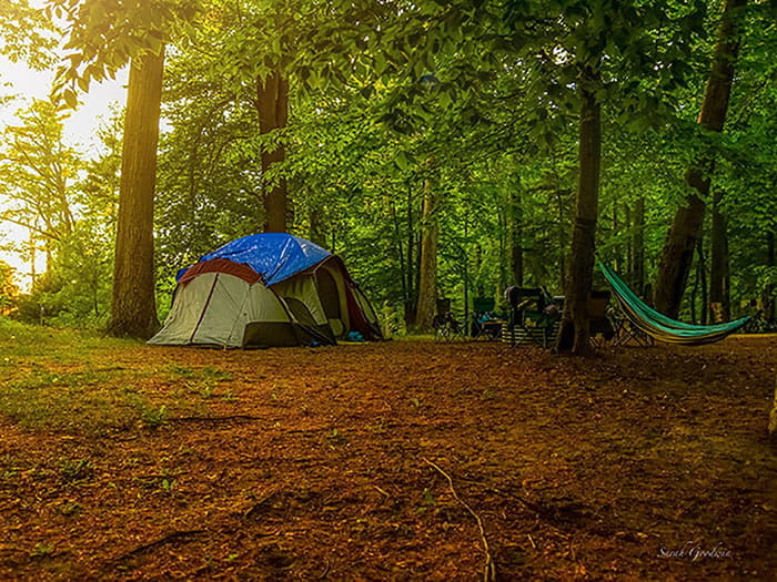 tent and hammock in wooded campsite