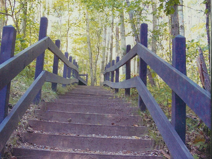 Newaygo stairs