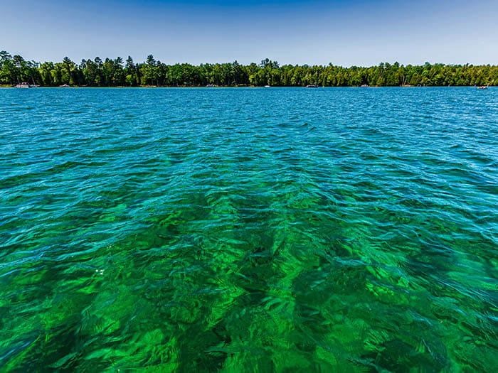 blue and green rippled water with shoreline in background