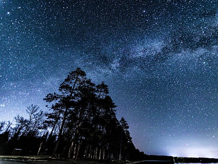 starry night sky