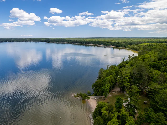 Birds eye view of tree lined shoreline and water