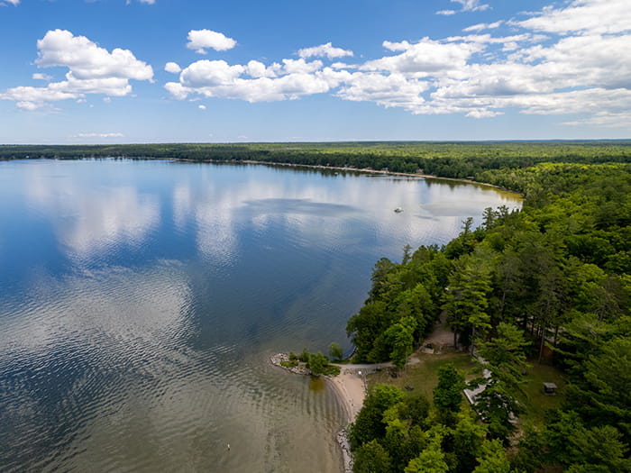 Birds eye view of tree lined shoreline and water