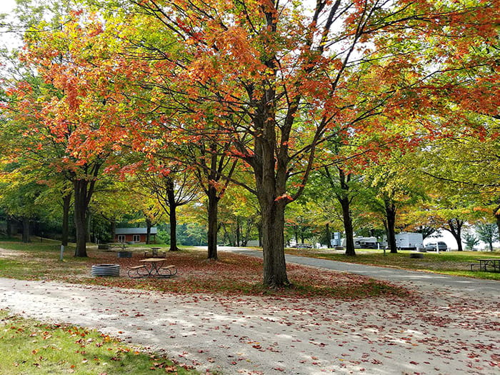 Orchard beach campground