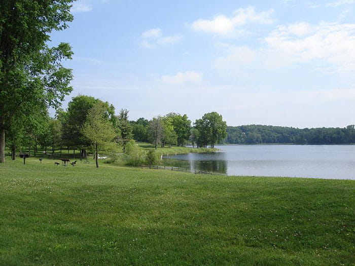 grassy area next to lake