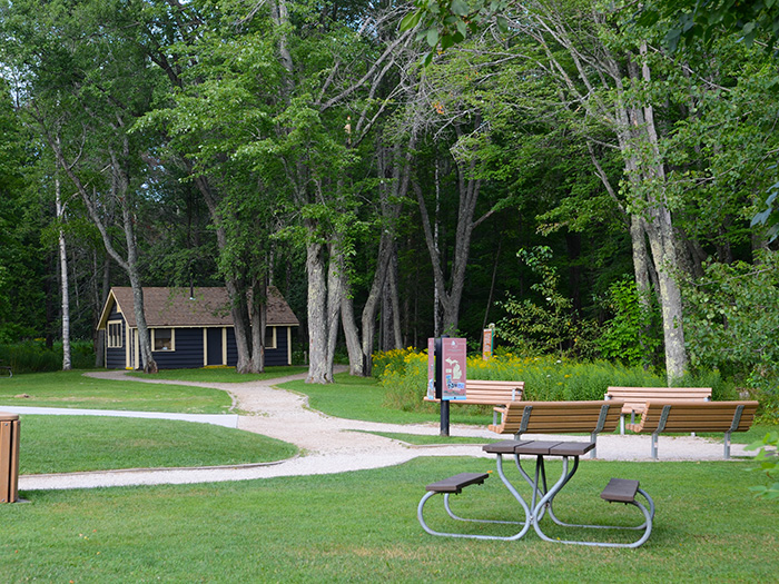 picnic area benches sidewalks