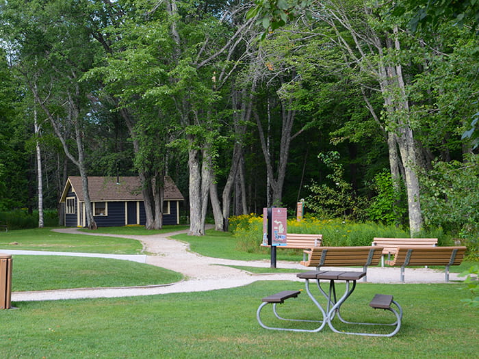 picnic area benches sidewalks