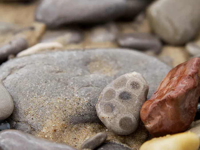 Beach stones