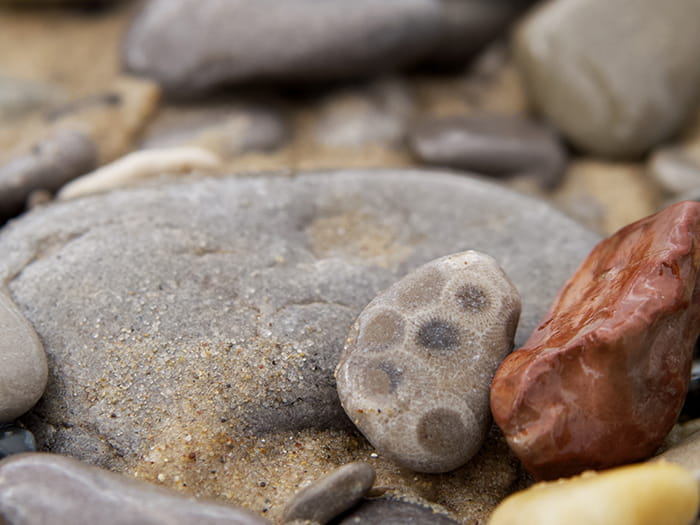 Beach stones