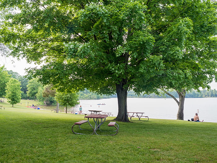 2Pinckney picnic