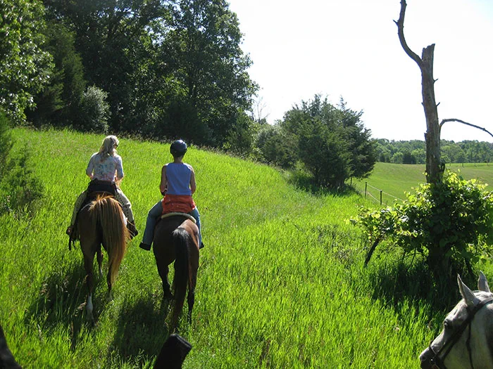 Pinckney equestrian