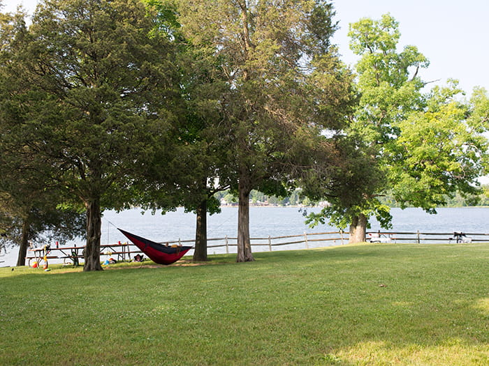 Pinckney hammock