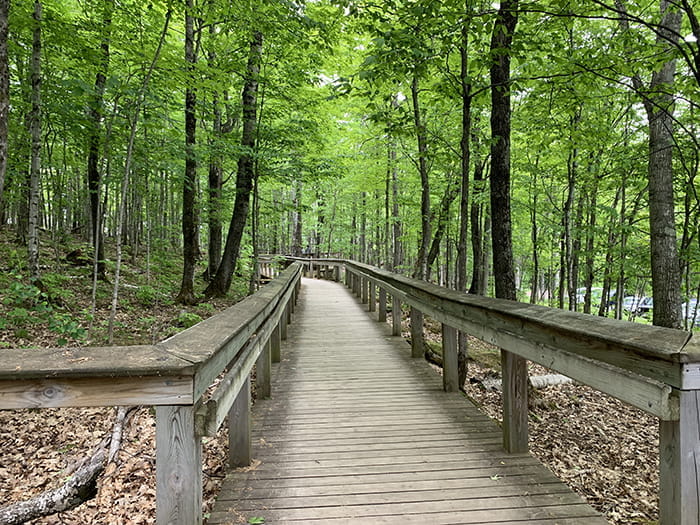 Porkies trail