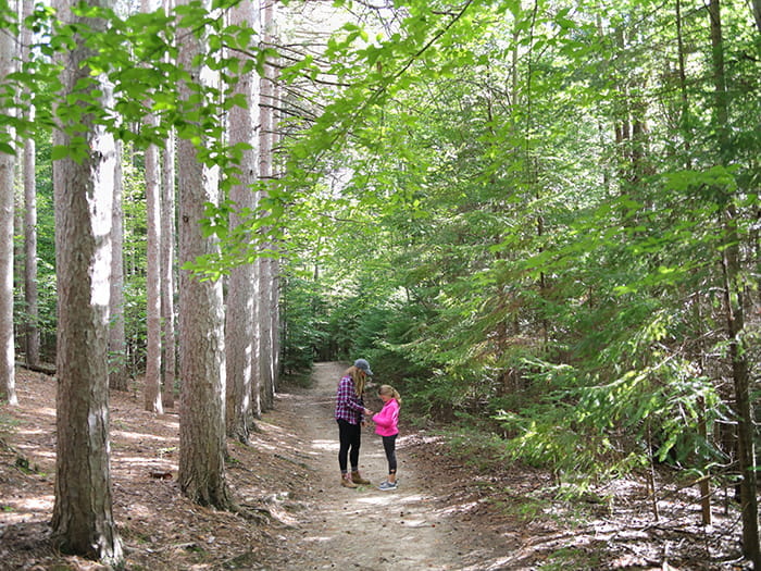 adult and child stopped on tree lined trail