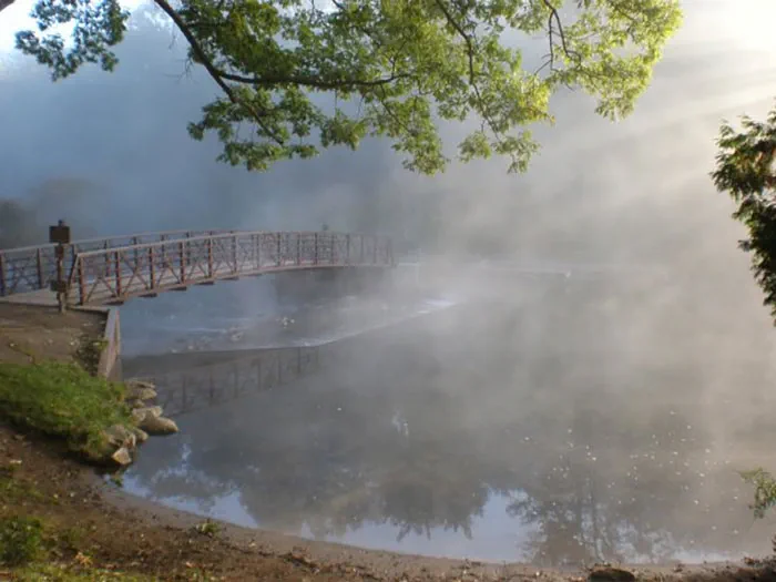 bridge in the fog