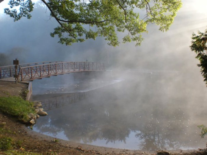 bridge in the fog