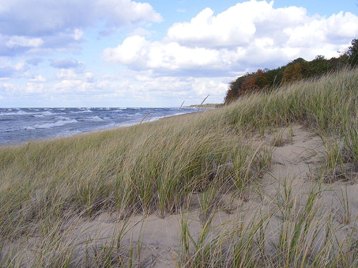 Saugatuck Dunes State Park - State of Michigan