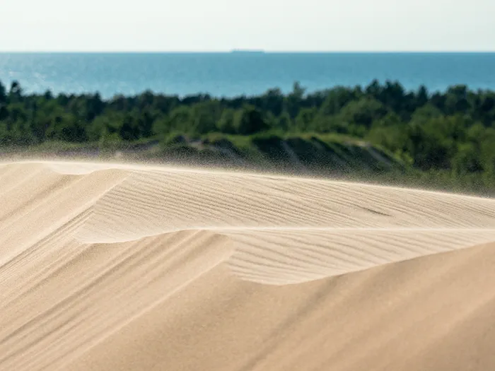 Shifting dunes at Silver Lake