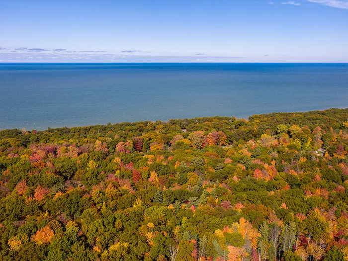 fall colored leaves and water view