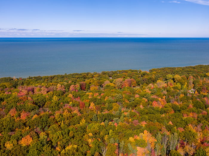 fall colored leaves and water view