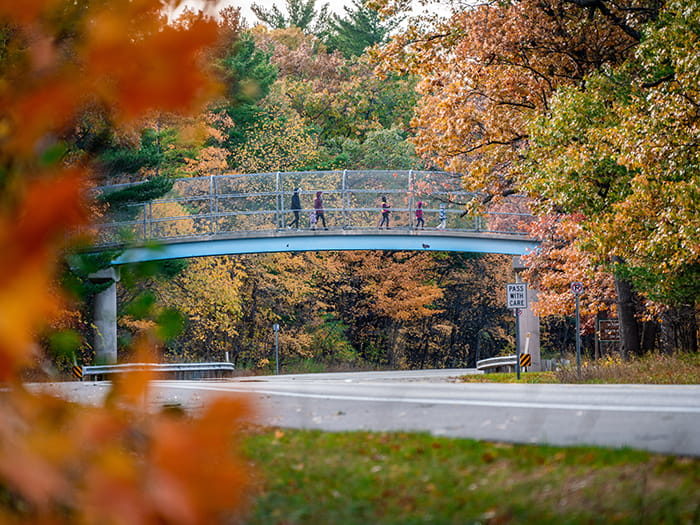 visitors walking on pedestrian overpass