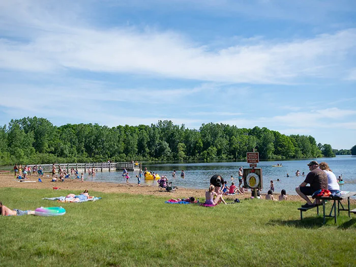 visitors swimming and sun bathing on sandy beach and green space next to lake