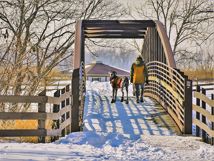 trail pedestrian bridge with snowy and visitor and leashed dog