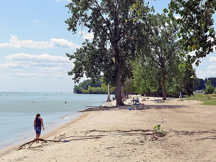 woman walking on beach with trees